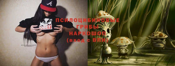 spice Костерёво