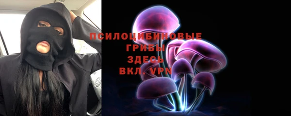 стафф Корсаков