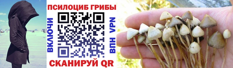 Галлюциногенные грибы мицелий  Купить закладки  Саки 